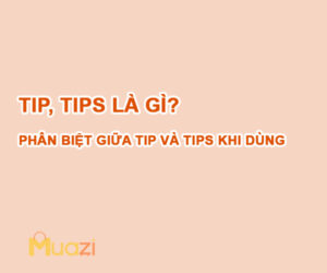 Tip, Tips là gì? Phân biệt giữa Tip và Tips khi dùng