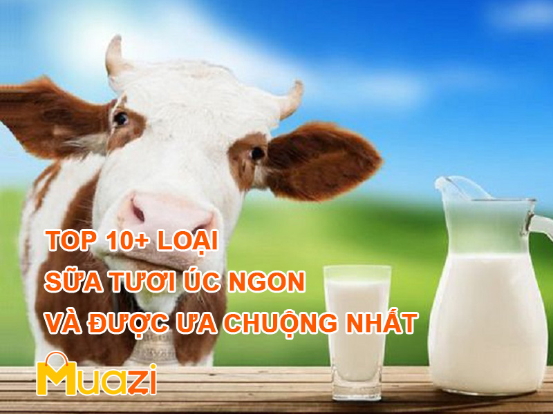Top 10+ Loại sữa tươi ÚC Ngon và được ưa chuộng nhất 